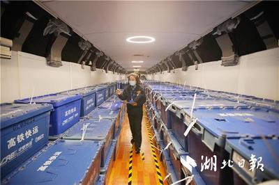 湖北首开高铁货运专列 备战双十一，北京铁路快运提速升级