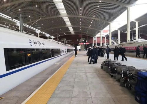 佛山交通与教育双线并进 货车电子通行码启用及高校建设新动态