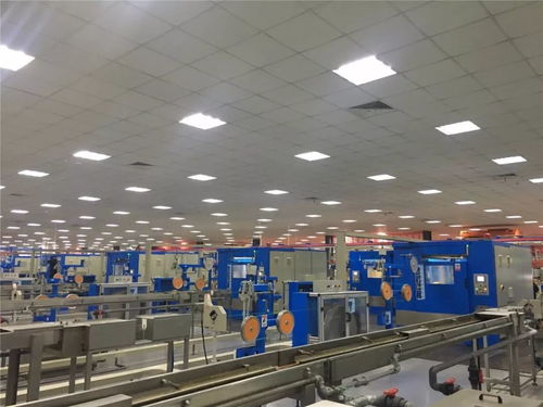 党员冬训亮点多 寓教于乐聚合力 北京铁路快运