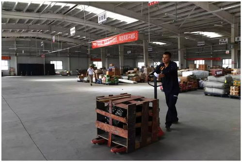 开发区南疆快递物流园2018年吞吐量突破2000万票