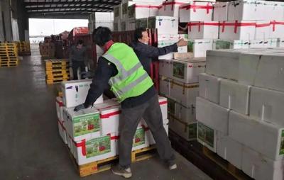 驰援武汉的“生命线” 北京铁路快运的抗疫担当