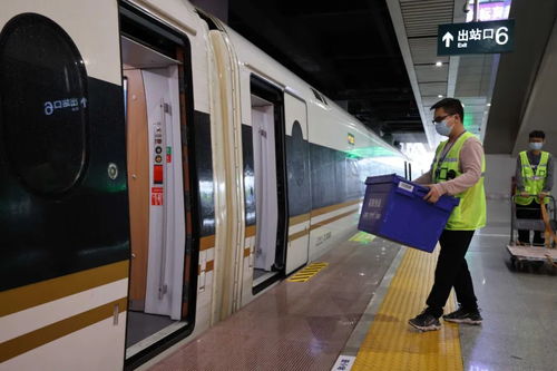 变身“带货巨龙”送来万家灯火 北京直达京津冀高铁快递上新了