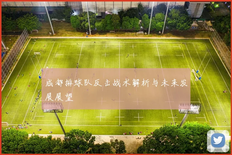 成都排球队反击战术解析与未来发展展望